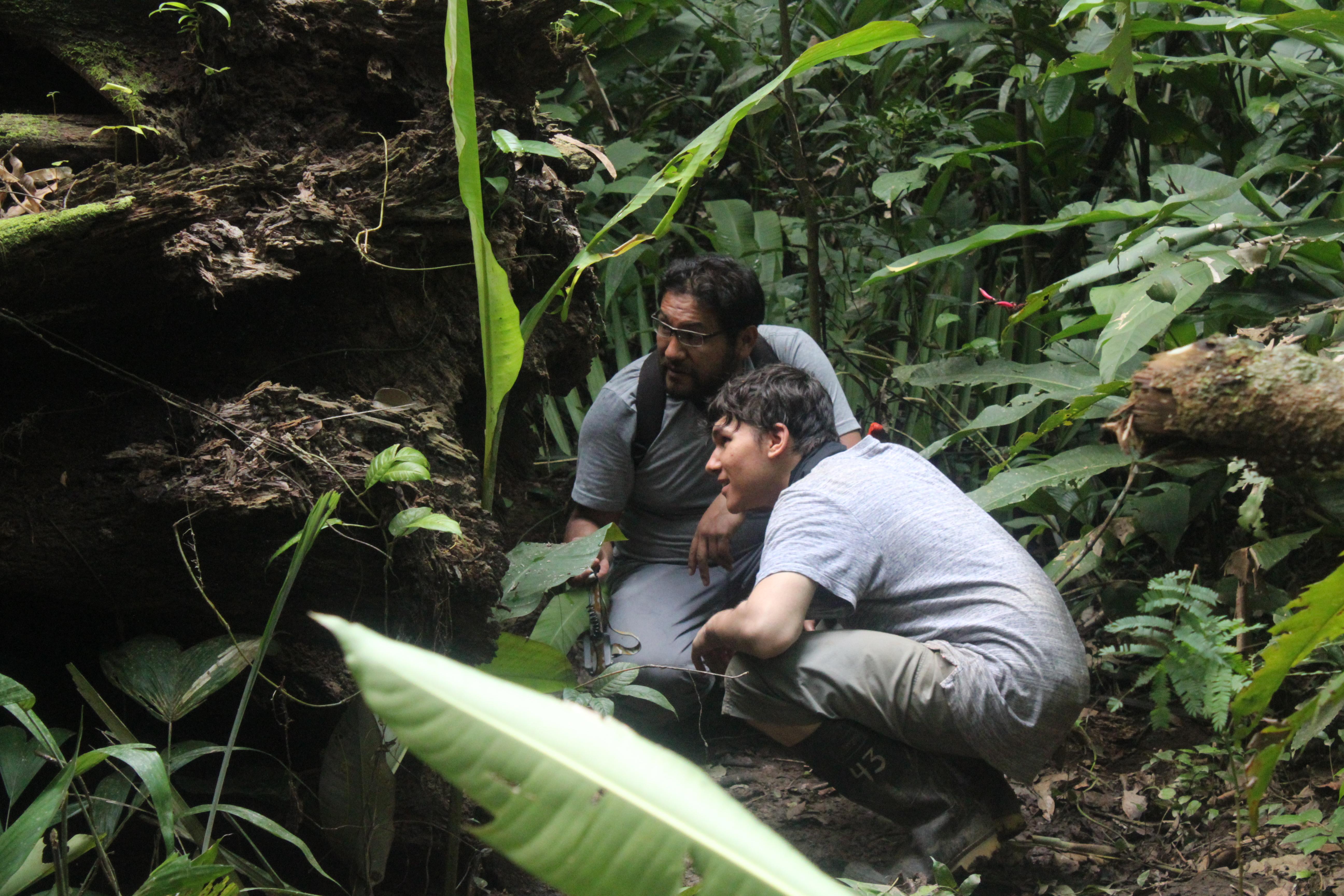 Voluntario de Conservación inspeccionando nidos de murciélagos junto a un experto en Perú. Voluntarios observando un nido de murciélagos durante su voluntariado de conservación en Perú.
